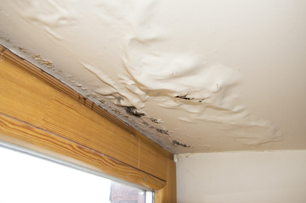 Types of Water Damage