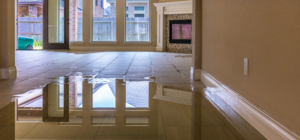 Water Damage Remediation Orlando FL