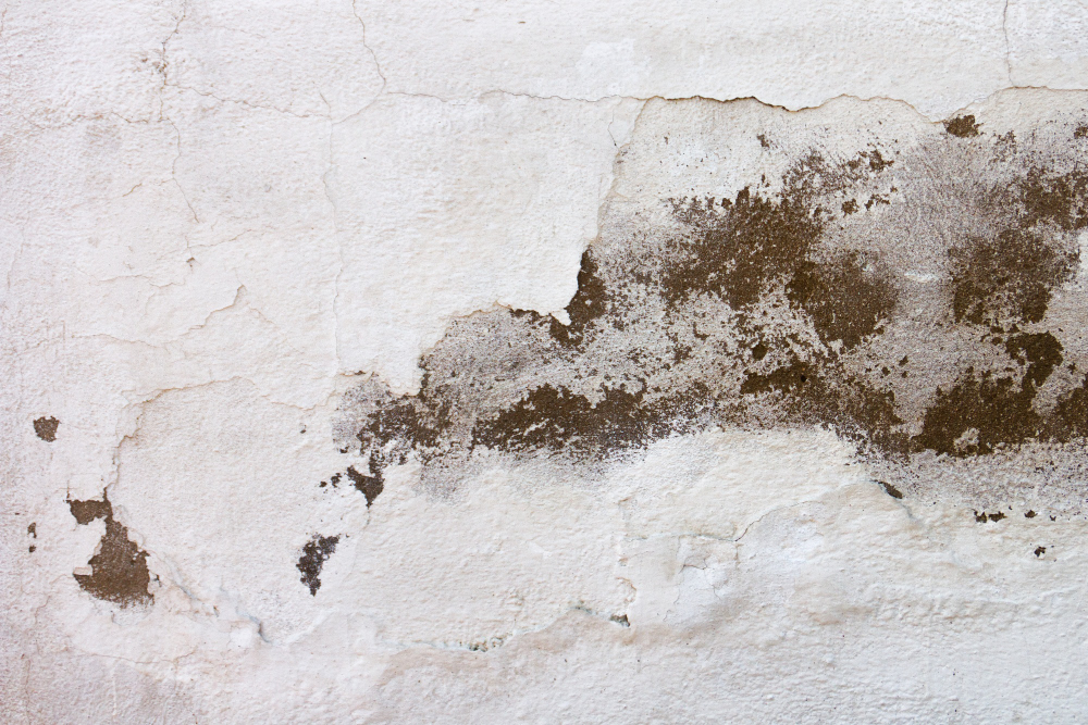 3 Major Water Damage Signs in Your Home