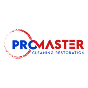 Home 7 Pro Master Cleaning Restoration logo