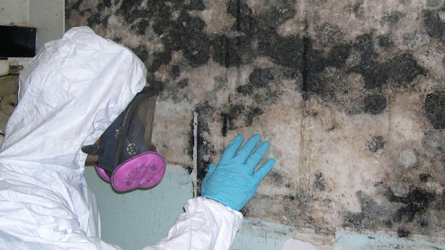 Mold Remediation Services Orlando FL